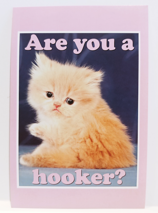 Fuck**g Adorable Personalized Postcards!