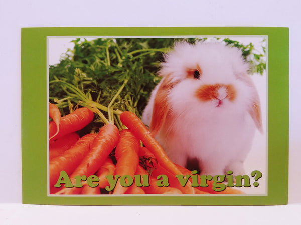 Fuck**g Adorable Personalized Postcards!