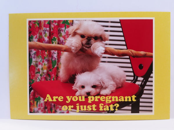 Fuck**g Adorable Personalized Postcards!
