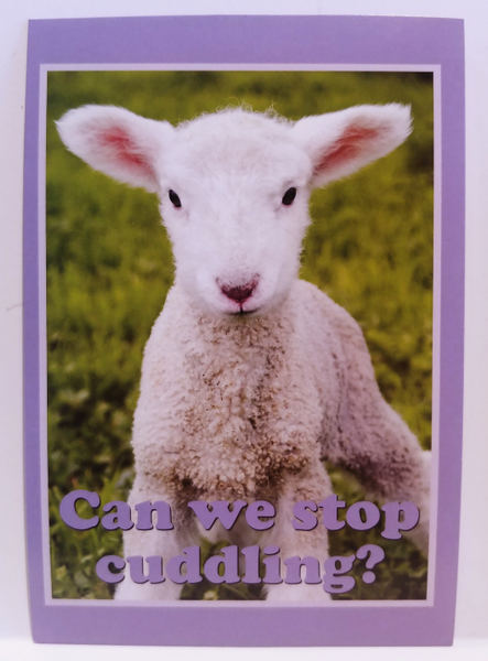 Fuck**g Adorable Personalized Postcards!