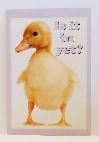 Fuck**g Adorable Personalized Postcards!