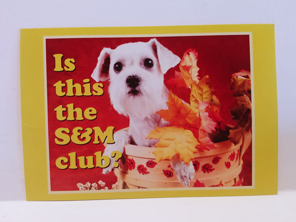 Fuck**g Adorable Personalized Postcards!