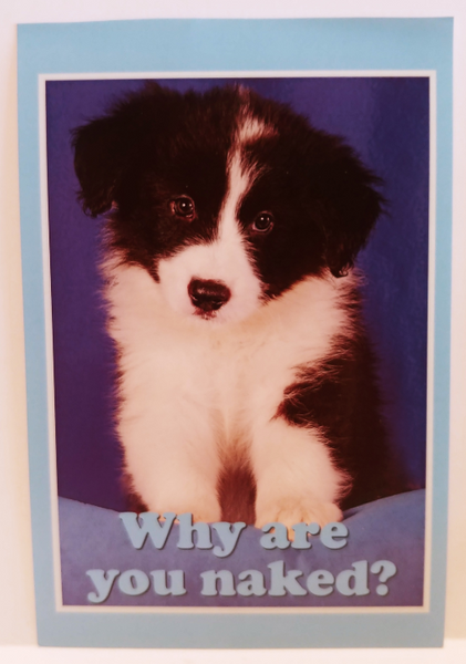 Fuck**g Adorable Personalized Postcards!
