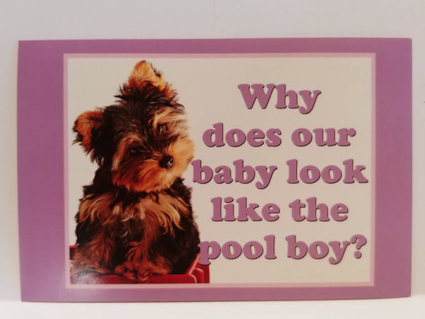 Fuck**g Adorable Personalized Postcards!